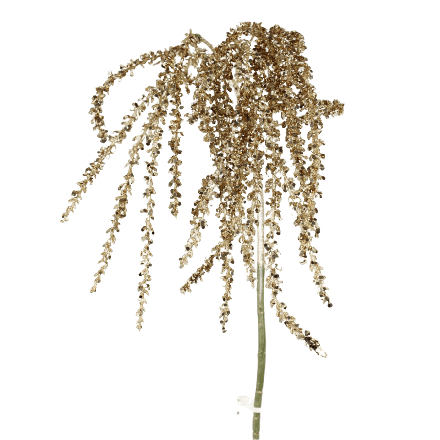 Tige d’amarante scintillante — produit sur fond blanc