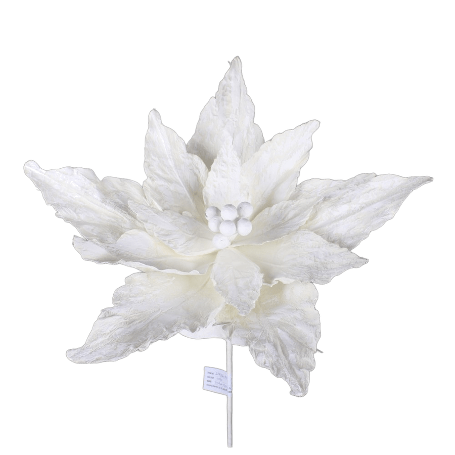 Tige de poinsettia décorative — produit sur fond blanc