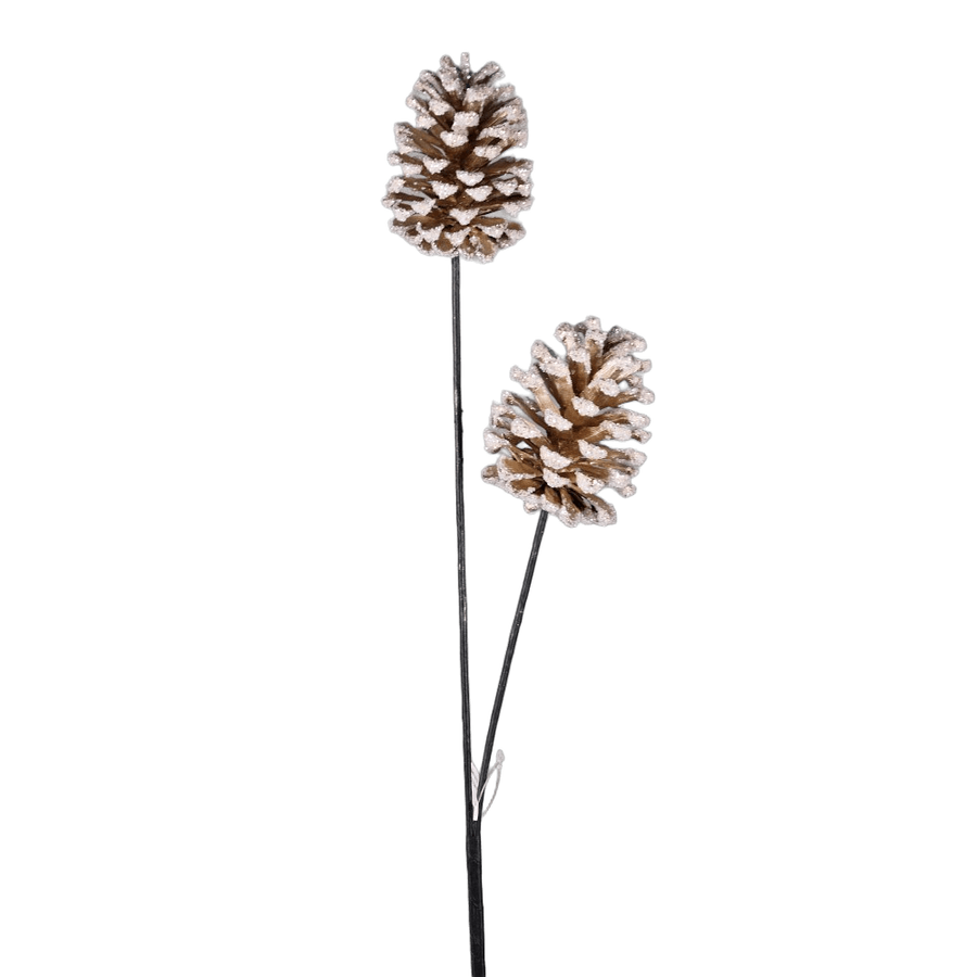 Tige de 2 pommes de pin — produit sur fond blanc