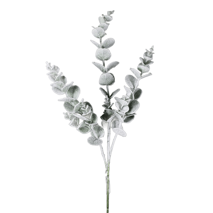 Tige de feuilles d’eucalyptus enneigées — produit sur fond blanc pur