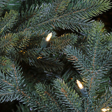 Sapin Deluxe Trinity