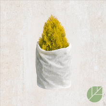 Couverture isolante R20 3 pi x 50 pi