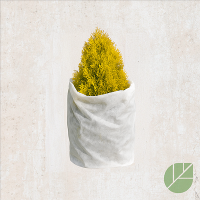 Couverture isolante R20 3 pi x 50 pi