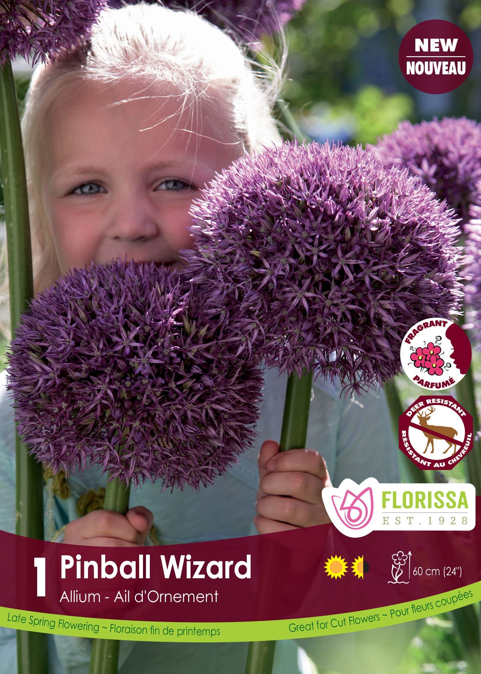 ‘Pinball Wizard’ ornamental onion (<em>Allium</em> ‘Pinball Wizard’)