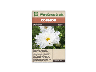 Sachet Snow Puff de West Coast Seeds sur fond blanc. La photo montre une grande fleur blanche aux nombreux pétales superposés et légèrement froissés, autour d’un centre jaune visible. Un bouton vert et du feuillage fin apparaissent à côté. Le bandeau orangé indique Cosmos; Snow Puff et la référence FL2055 se lisent dans la bande brune.