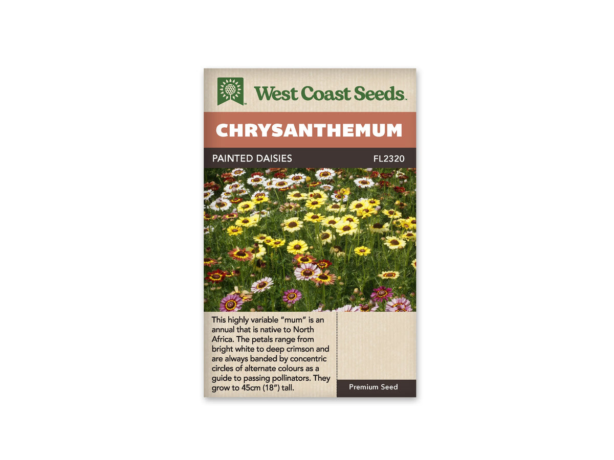 Sachet Painted Daisies de West Coast Seeds sur fond blanc. La photo montre un massif de fleurs jaunes, blanches, roses et rouges, avec des centres foncés entourés d’anneaux contrastants. De nombreuses tiges et des feuilles vertes remplissent les espaces. Le bandeau orangé indique Chrysanthemum; Painted Daisies et la référence FL2320 se lisent dans la bande brune.