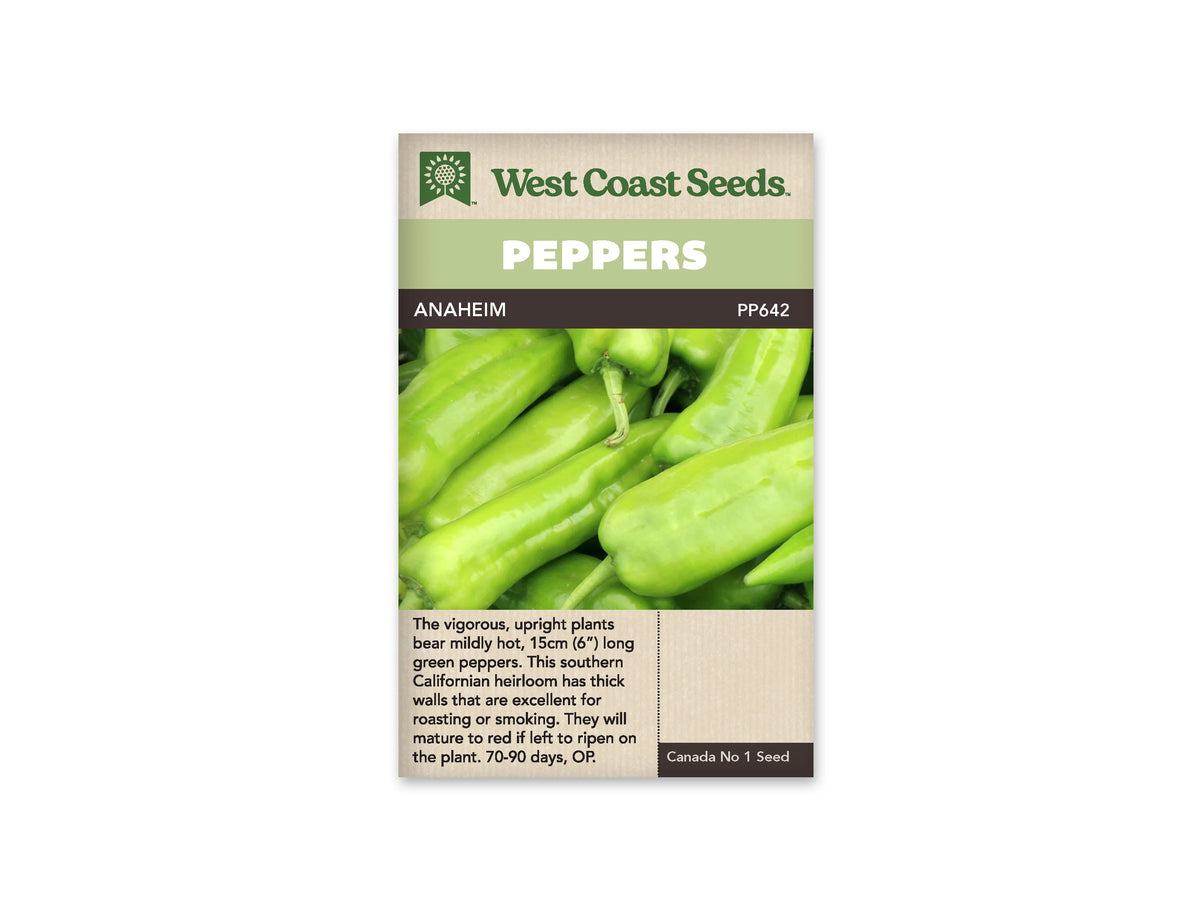 Sachet West Coast Seeds de piment Anaheim, avec bandeau vert clair et nom de la variété sur une ligne foncée. La photo montre des fruits verts allongés, lisses et brillants, serrés les uns contre les autres. Plusieurs pédoncules verts sont visibles. Les fruits se terminent en pointes arrondies. Un texte remplit le bas beige du sachet.