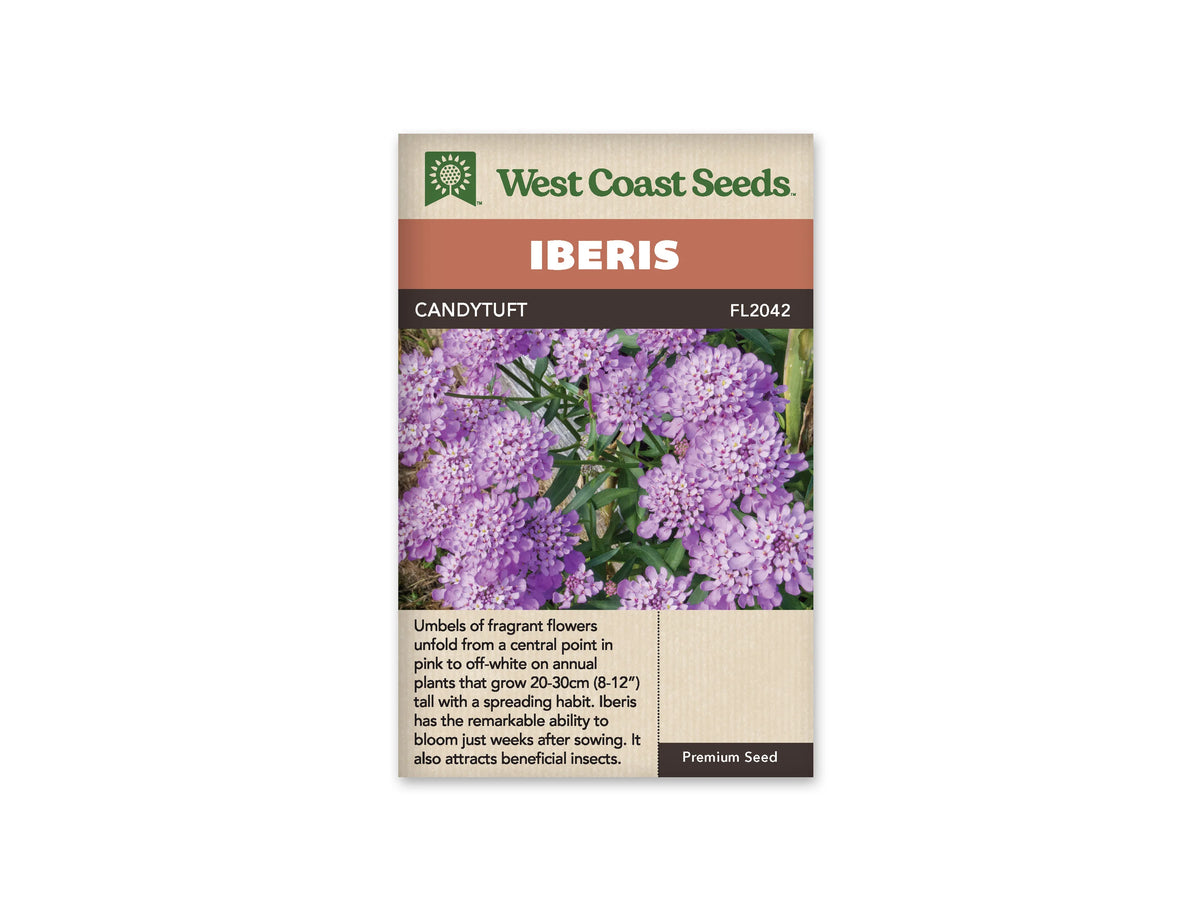 Sachet Candytuft de West Coast Seeds sur fond blanc. La photo montre des bouquets serrés de petites fleurs mauves et rose pâle, avec des centres clairs. Des feuilles vertes étroites apparaissent entre les groupes de fleurs. Le bandeau orange indique Iberis et la bande brune porte Candytuft, ainsi que le code FL2042.