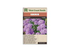 Sachet Candytuft de West Coast Seeds sur fond blanc. La photo montre des bouquets serrés de petites fleurs mauves et rose pâle, avec des centres clairs. Des feuilles vertes étroites apparaissent entre les groupes de fleurs. Le bandeau orange indique Iberis et la bande brune porte Candytuft, ainsi que le code FL2042.