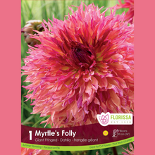 Dahlia géant ‘Myrtle’s Folly’ ( Dahlia ) : un dahlia rose, orange et jaune aux nombreux pétales fins. Le visuel Florissa présente la plante et son nom dans la partie inférieure de l’étiquette. La photographie occupe presque toute la surface, tandis que le bandeau du bas rassemble les indications du produit. Cette vue permet de reconnaître son apparence et de distinguer la variété présentée.
