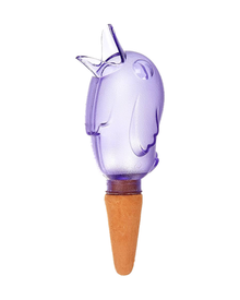 Distributeur d'eau Bordy mauve — photo sur fond blanc