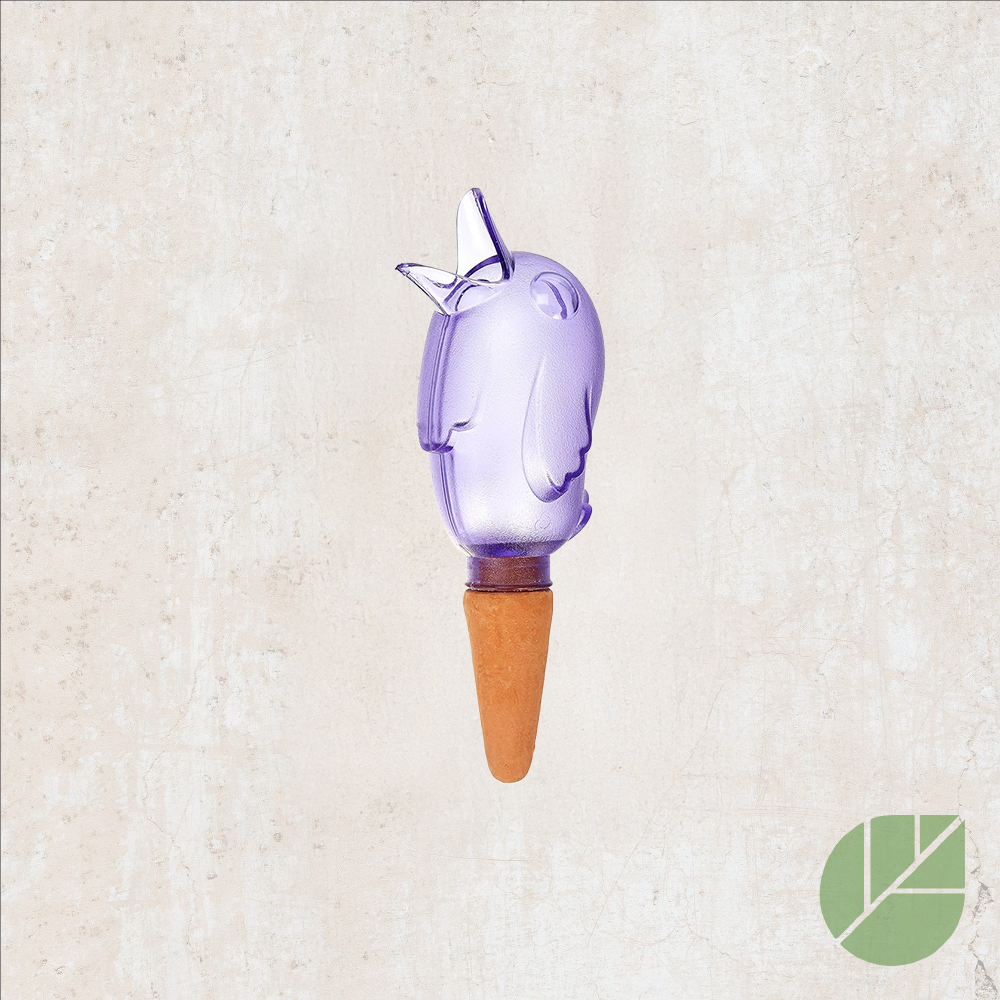 Distributeur d'eau Bordy mauve