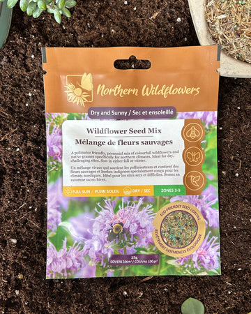 Mélange de fleurs sauvages sec et ensoleillées 100 pi²