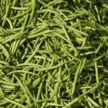 Hawaii Green Cruiser Bush Bean