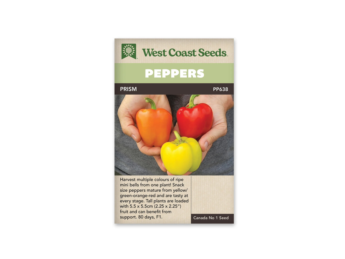 Sachet West Coast Seeds de poivron Prism, avec un bandeau vert clair et le nom Peppers en blanc. La photo montre trois petits poivrons lisses, orange, rouge et jaune, posés dans des mains. Leurs pédoncules sont verts. Le nom Prism et le code PP638 figurent au-dessus de la photo, sur une bande sombre.