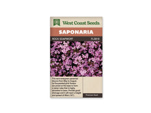 Le sachet West Coast Seeds présente un tapis dense de petites fleurs roses à cinq pétales. Les corolles se répartissent parmi de petites feuilles vertes et des tiges discrètes, avec des nuances allant du rose pâle au rose plus soutenu. Le fond sombre fait ressortir la floraison. Le bandeau indique Rock Soapwort et la référence FL3818.