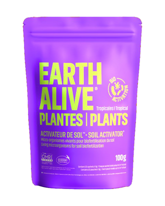 Earth Alive Plantes d’intérieur — photo sur fond blanc