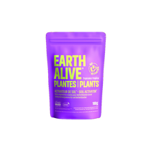 Earth Alive Plantes d’intérieur