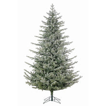 Sapin Saint-Sauveur