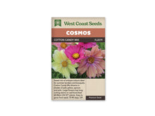 Sachet Cotton Candy Mix de West Coast Seeds sur fond blanc. La photo réunit des fleurs jaune pâle, rose vif et abricot rosé, avec des centres jaunes et des pétales légèrement froissés. Un feuillage vert fin apparaît entre les fleurs. Le bandeau orangé indique Cosmos; Cotton Candy Mix et la référence FL2079 se lisent dans la bande brune.