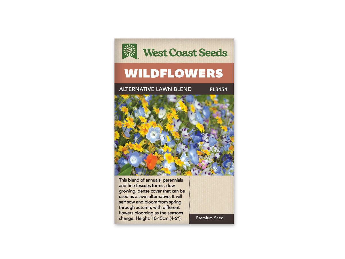 Sachet West Coast Seeds Alternative Lawn Blend avec de petites fleurs bleu pâle, jaunes, blanches et violettes. Une fleur orange apparaît vers le bas de l’image. Les corolles se mêlent à des tiges fines et à un feuillage vert dans une plantation serrée. Le cadrage rapproche les fleurs et montre plusieurs formes de pétales différentes.