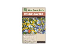 Sachet West Coast Seeds Alternative Lawn Blend avec de petites fleurs bleu pâle, jaunes, blanches et violettes. Une fleur orange apparaît vers le bas de l’image. Les corolles se mêlent à des tiges fines et à un feuillage vert dans une plantation serrée. Le cadrage rapproche les fleurs et montre plusieurs formes de pétales différentes.