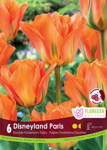 Tulipe Disneyland Paris ( Tulipa ) : des tulipes doubles orange légèrement marquées de vert. Le visuel Florissa présente la plante et son nom dans la partie inférieure de l’étiquette. La photographie occupe presque toute la surface, tandis que le bandeau du bas rassemble les indications du produit. Cette vue permet de reconnaître son apparence et de distinguer la variété présentée.