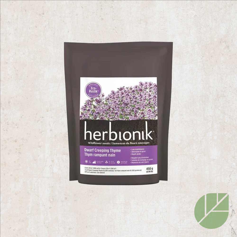 Eco-Rustik Dwarf Creeping Thyme Seeds
