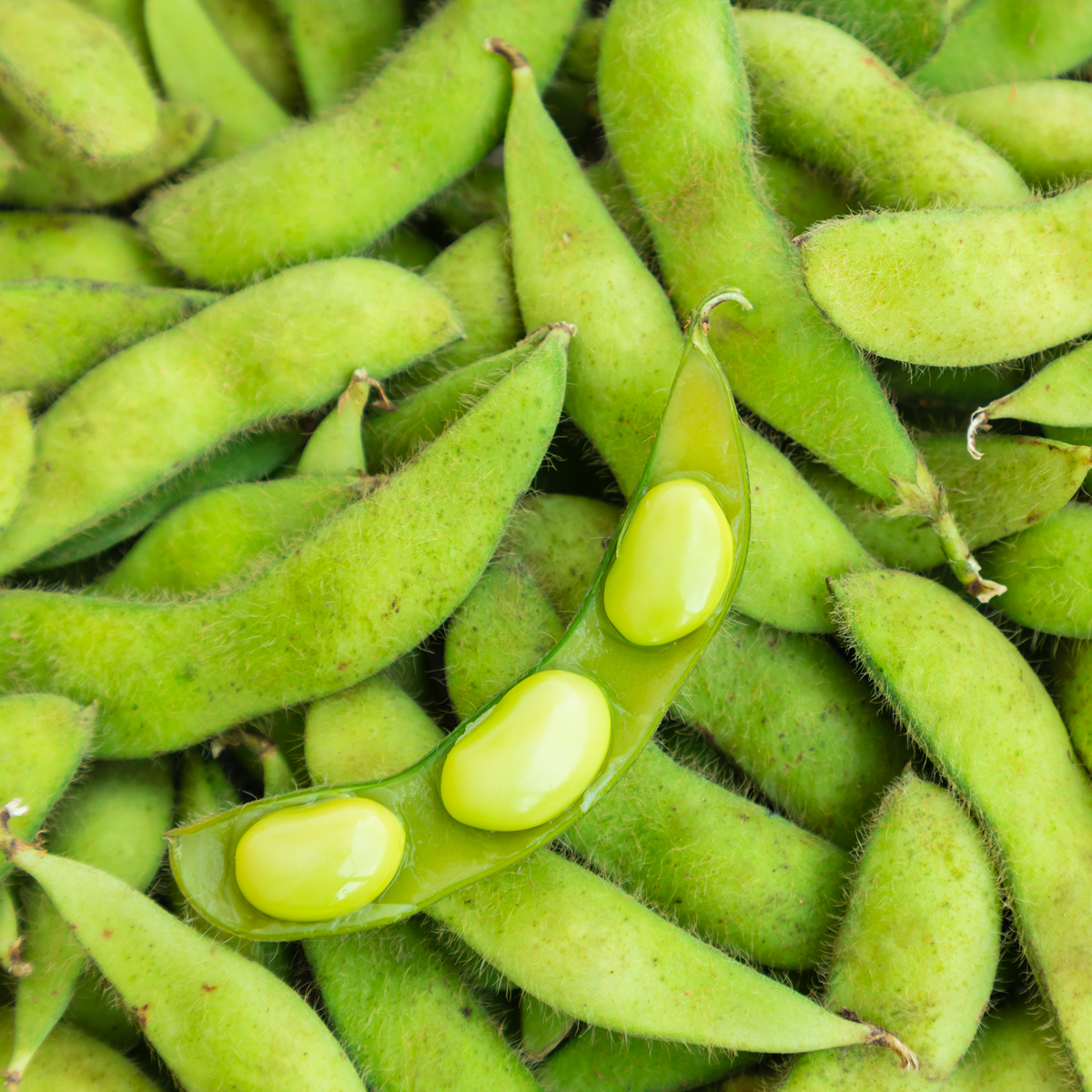 Edamame