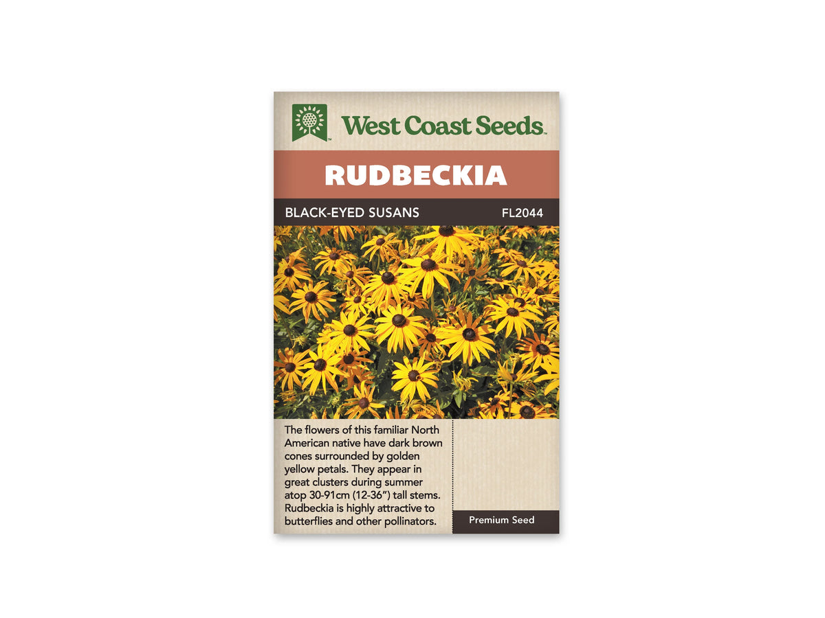 Le sachet West Coast Seeds montre une plantation dense de rudbeckies jaunes. Les longs pétales entourent des centres brun sombre, arrondis et légèrement coniques. Les fleurs se répartissent à différentes hauteurs au-dessus d'un feuillage vert, avec quelques boutons et des capitules plus avancés. Le bandeau porte le nom Black-Eyed Susans et la référence FL2044.