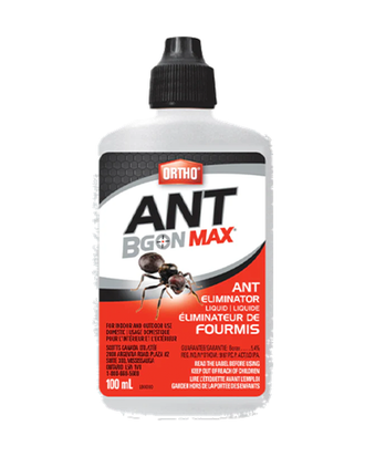 Liquide Éliminateur de Fourmis Ortho® Ant B Gon™ MAX — photo sur fond blanc