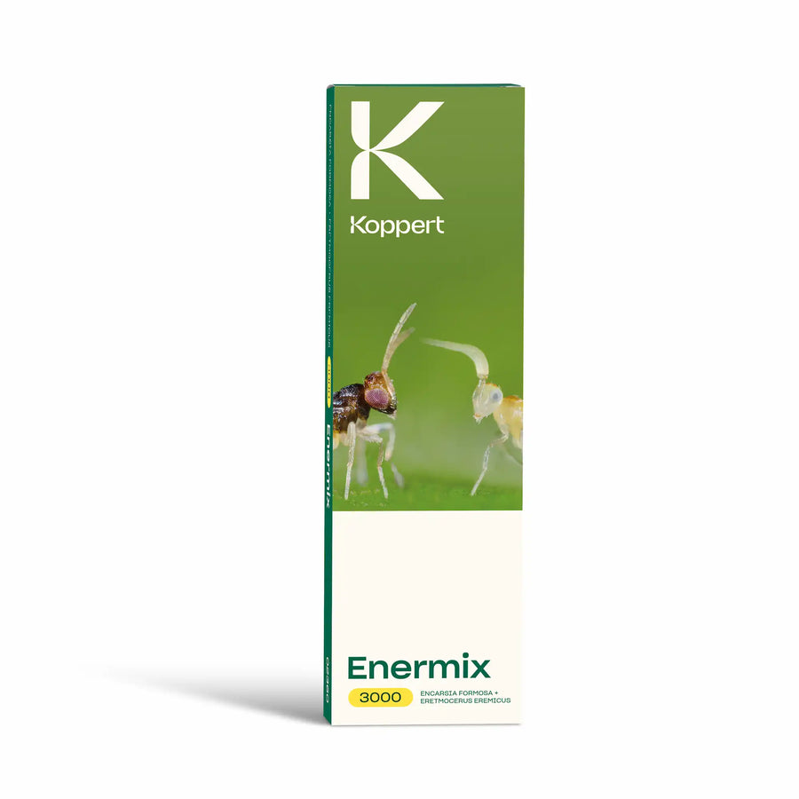ENERMIX Koppert — Encarsia formosa + Eretmocerus eremicus