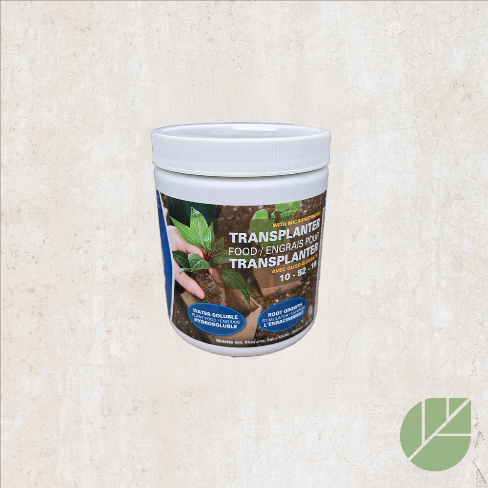 Engrais transplanteur 10-52-10 Nutrite