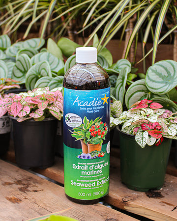 Acadie 0.6-0-6 Seaweed Fertilizer