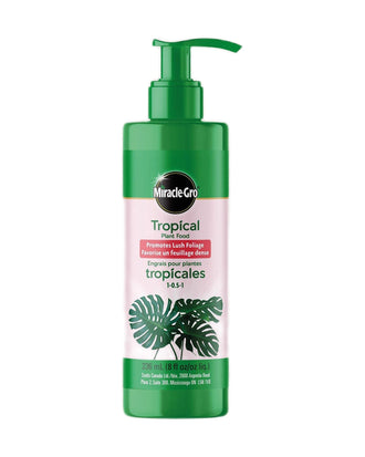 Engrais pour plantes tropicales Miracle-Gro® 1-0.5-1 — photo sur fond blanc
