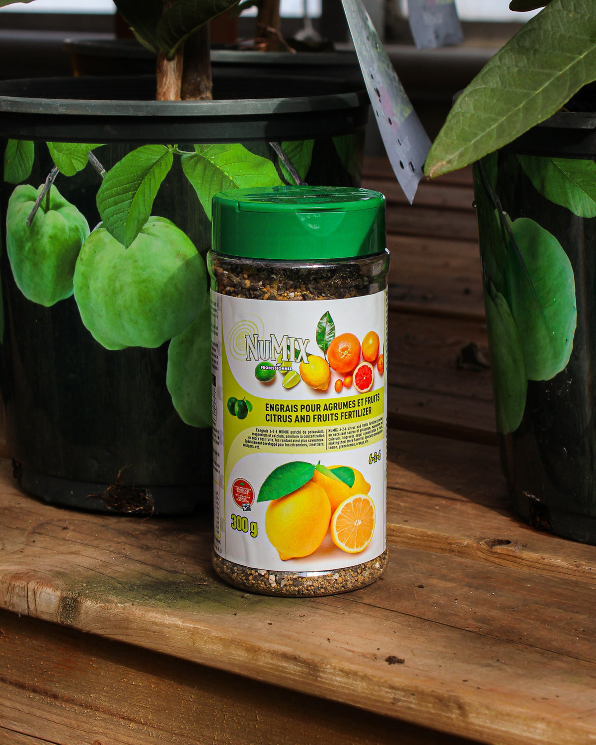 Fertilizer for citrus and fruit Numix 6-2-6