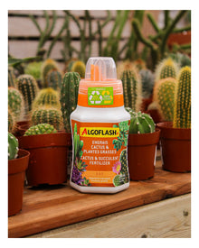 Engrais pour cactus et plantes grasses Algoflash 5-5-7 — photo sur fond blanc