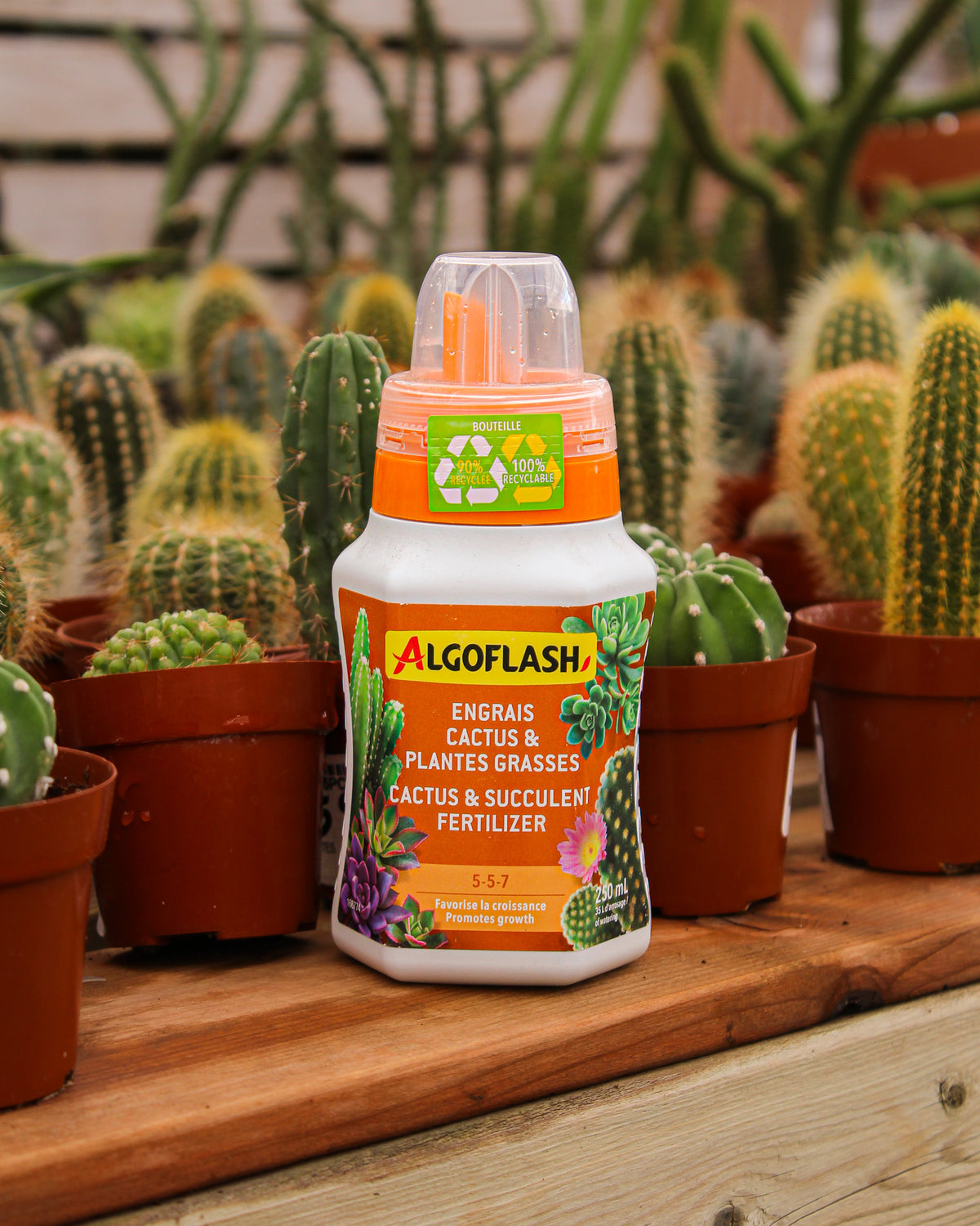 Algoflash 5-5-7 Cacti and Succulent Plant Fertilizer