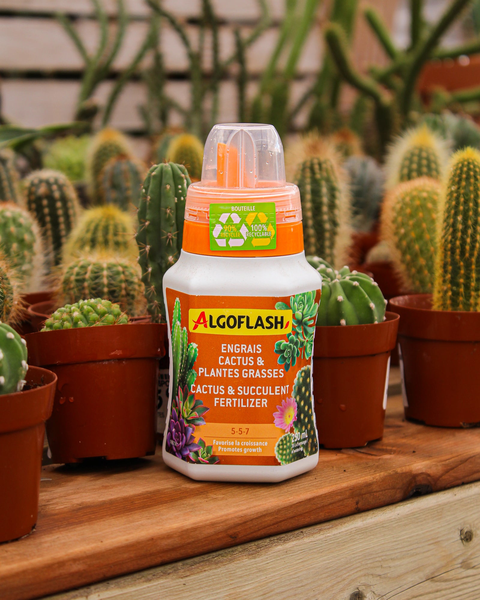 Engrais pour cactus et plantes grasses Algoflash 5-5-7