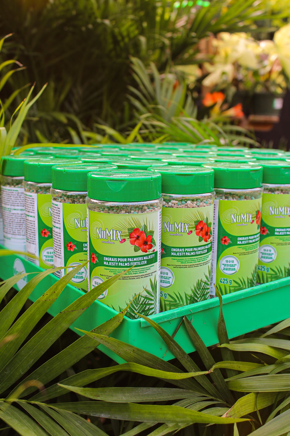 Majesty Palm Fertilizer 12-2-12