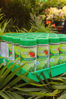 Majesty Palm Fertilizer 12-2-12