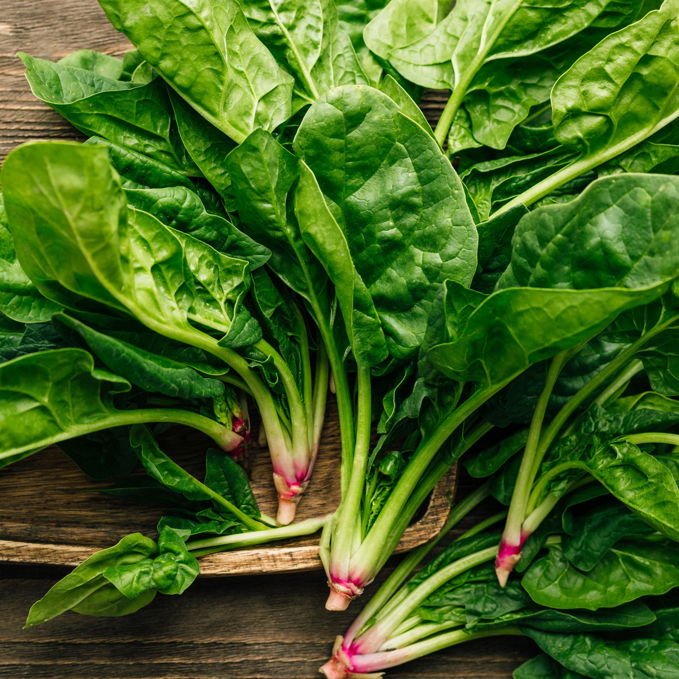  Spinach 'Butterfly'organic