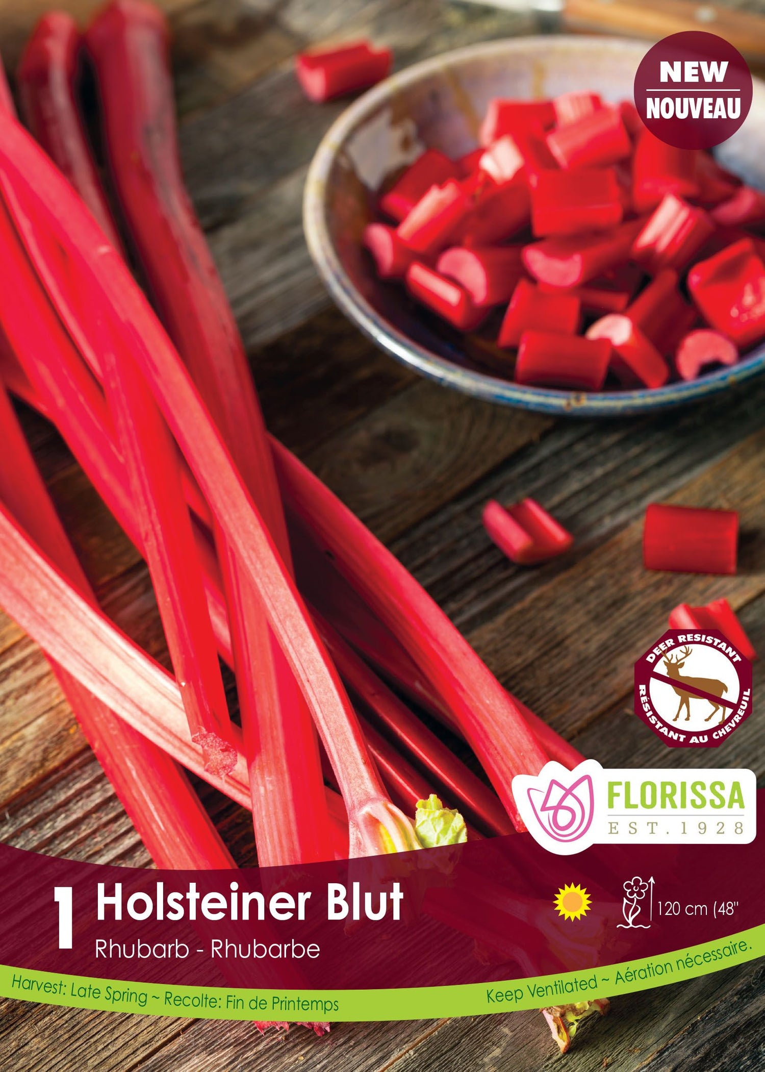 Rhubarbe 'Holstenier Blut' (1 plant)