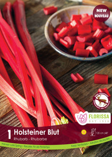 Rhubarbe ‘Holstenier Blut’ (1 plant) ( Rheum ) : des tiges de rhubarbe rouge vif à côté d’un bol de morceaux. Le visuel Florissa présente la plante et son nom dans la partie inférieure de l’étiquette. La photographie occupe presque toute la surface, tandis que le bandeau du bas rassemble les indications du produit. Cette vue permet de reconnaître son apparence et de distinguer la variété présentée.