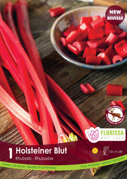 Rhubarbe 'Holstenier Blut' (1 plant)