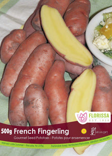 Pomme de terre Gourmet ‘French Fingerling’ (500 g) ( Solanum tuberosum ) : des pommes de terre allongées à peau rouge et à chair jaune. Le visuel Florissa présente la plante et son nom dans la partie inférieure de l’étiquette. La photographie occupe presque toute la surface, tandis que le bandeau du bas rassemble les indications du produit. Cette vue permet de reconnaître son apparence et de distinguer la variété présentée.