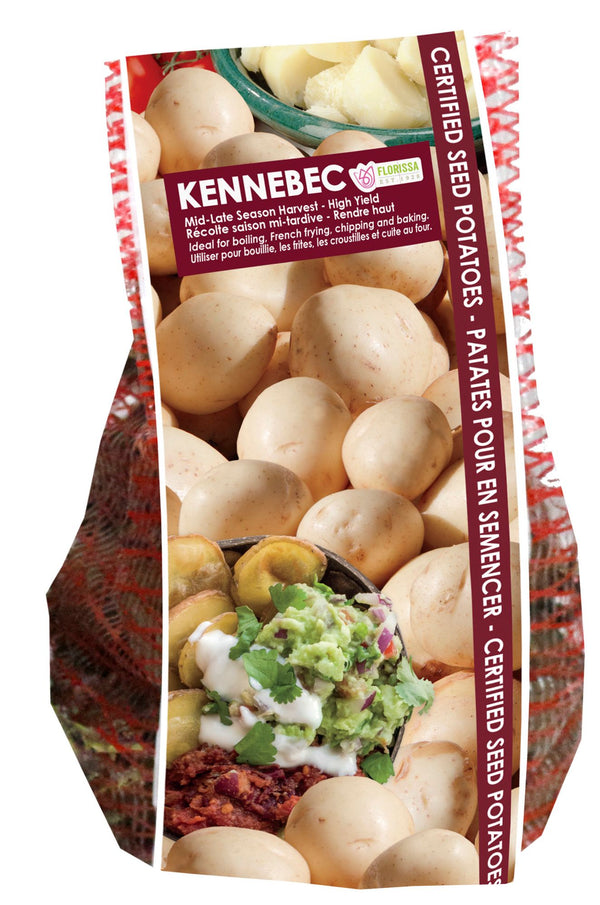 Potato 'Kennebec' (2 kg)