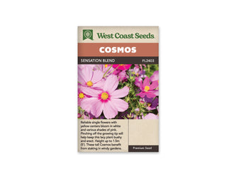 Sachet Sensation Blend de West Coast Seeds sur fond blanc. La photo montre plusieurs fleurs roses simples autour de centres jaunes. La grande fleur au premier plan présente un anneau rose plus foncé près du cœur. Des boutons et du feuillage vert fin entourent les fleurs. Le bandeau orangé indique Cosmos; Sensation Blend et FL2403 figurent au-dessus de la photo.