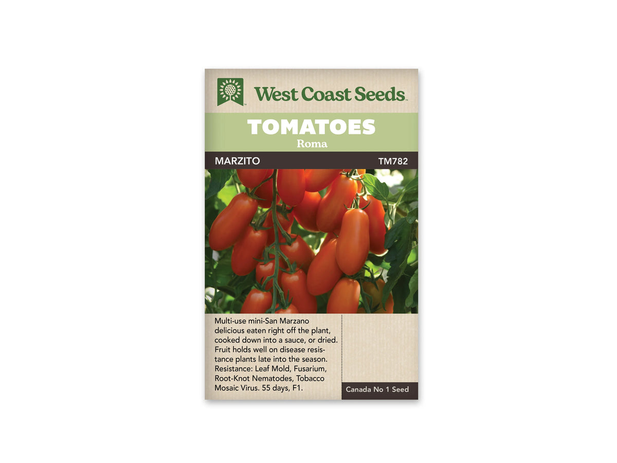 Sachet West Coast Seeds portant les mentions Tomatoes, Roma et Marzito. La photo montre de nombreux petits fruits rouges allongés, réunis en bouquets sur des tiges vertes parmi le feuillage. Des tomates moins mûres apparaissent en arrière-plan. Le nom de la variété et le code TM782 figurent sous les bandeaux verts de la marque.