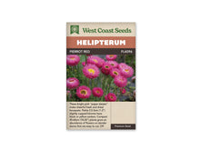 Sachet Pierrot Red de West Coast Seeds sur fond blanc. La photo montre des fleurs rose vif à pétales fins, avec un anneau jaune autour de plusieurs centres sombres. Les fleurs reposent sur de minces tiges vertes. Le bandeau orange indique Helipterum et la bande brune porte Pierrot Red, avec le code FL4096.